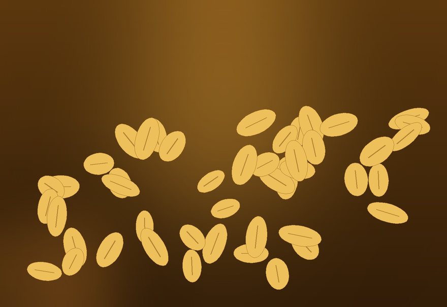 Termis Beans